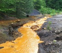 Acid mine drainage flowing through a stream in western Pennsylvania forest.